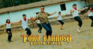 Toro Barroso