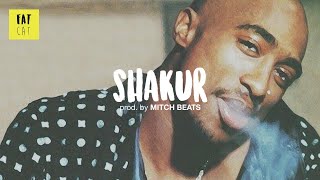 (free) 90s Old School Boom Bap type beat x Hip Hop instrumental | 'Shakur' prod. by MITCH BEATS - Hip hop Vs music classic