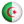 Algerian Artists